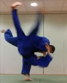 Harai Goshi